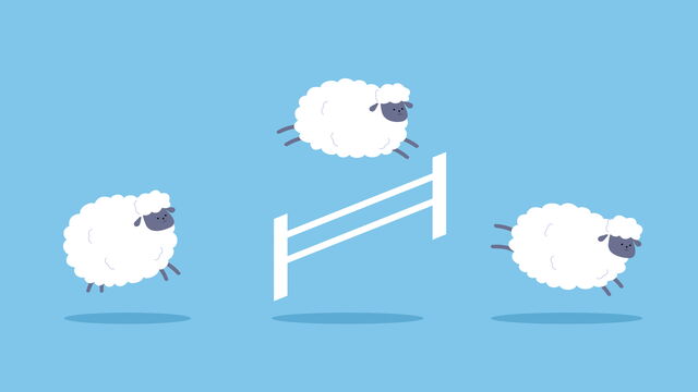 Bild zum Artikel„Was Sie schon immer über den Schlaf wissen wollten“