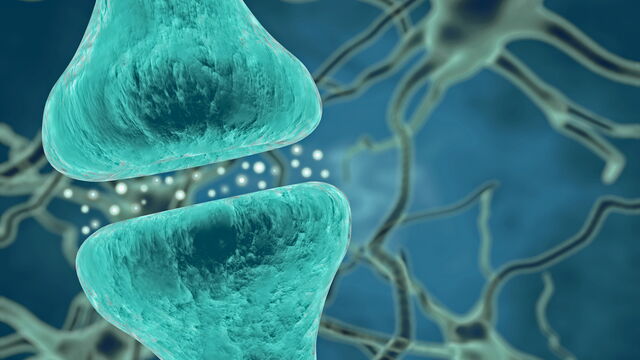 Bild zum Artikel„Neurobiologie der Depression: Mehr als nur Serotonin“