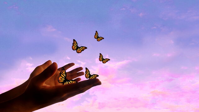 Bild zum Artikel„Loslassen lernen: Warum der digitale Detox unserem Schlaf hilft“